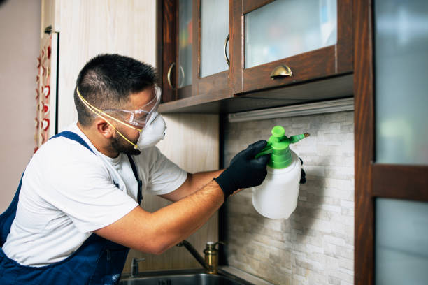 Best Emergency Pest Control  in Odessa, FL