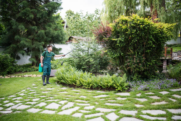 Best Affordable Pest Control Services  in Odessa, FL