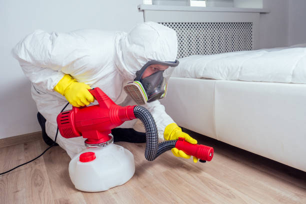 Best Local Pest Control Services  in Odessa, FL