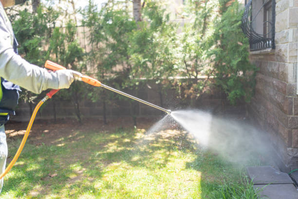 Best Pest Removal Services  in Odessa, FL