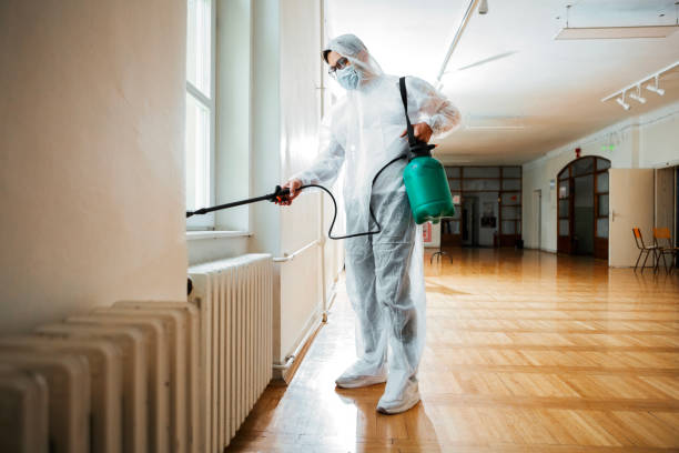 Best Mosquito Control Services  in Odessa, FL