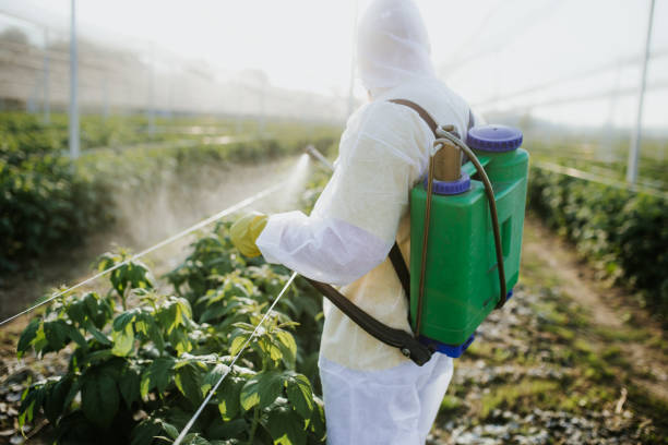 Best Bed Bug Extermination  in Odessa, FL